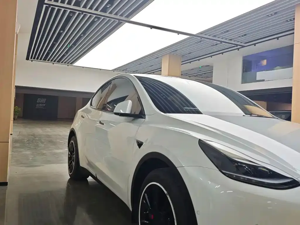 Tesla Model Y 2022 из CN, фото 5