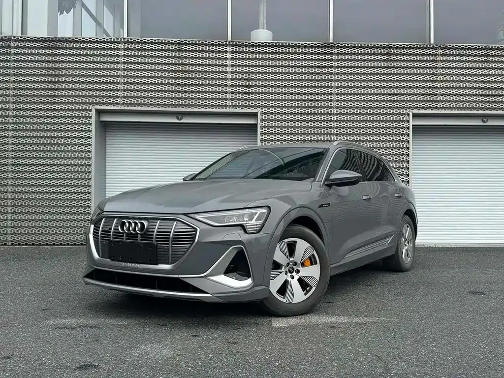 Audi e-tron 2024 из CN, фото 1