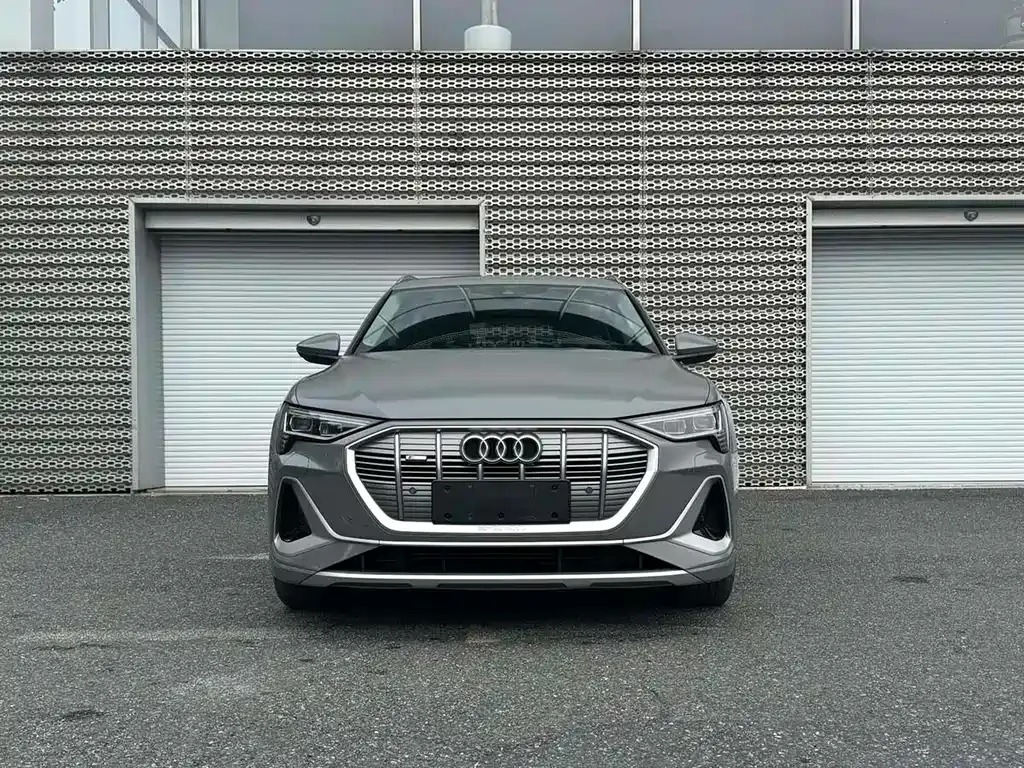 Audi e-tron 2024 из CN, фото 7