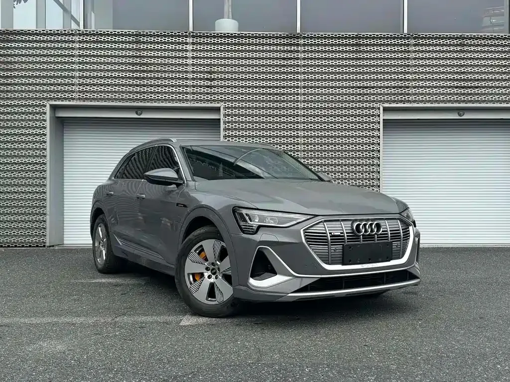 Audi e-tron 2024 из CN, фото 6