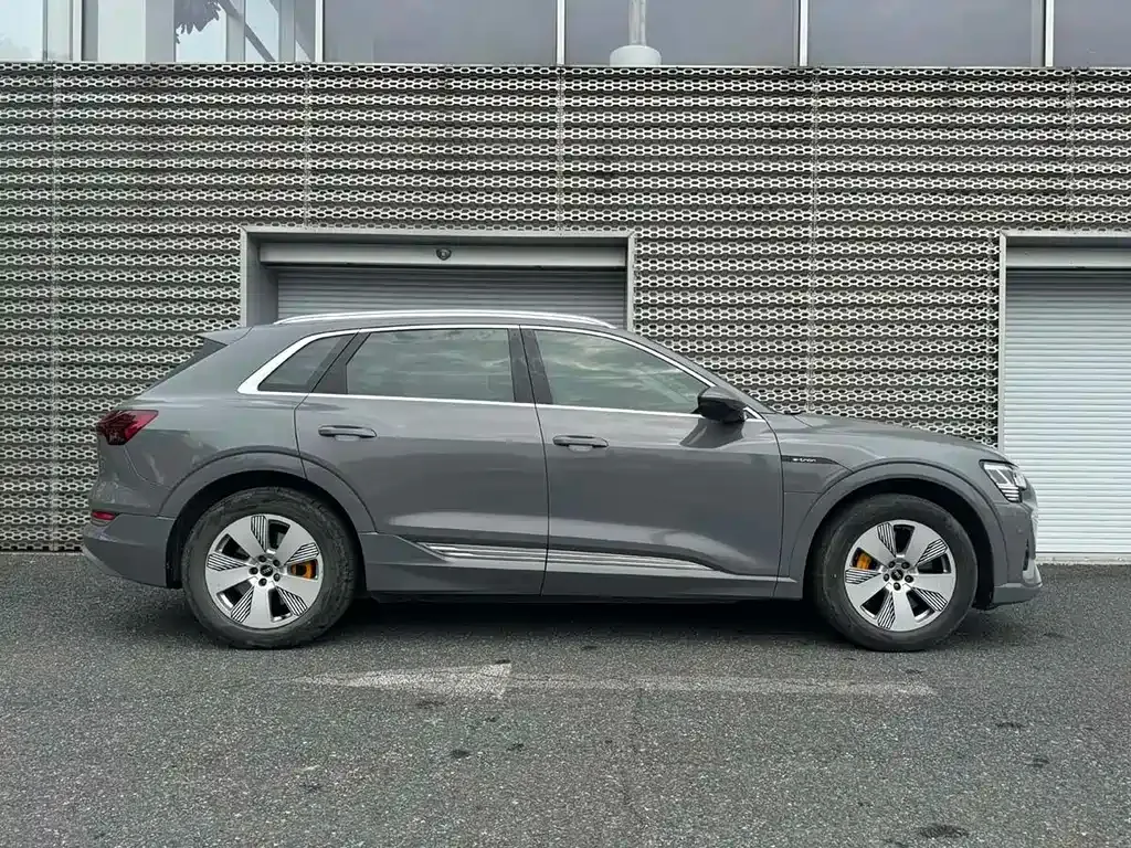 Audi e-tron 2024 из CN, фото 4