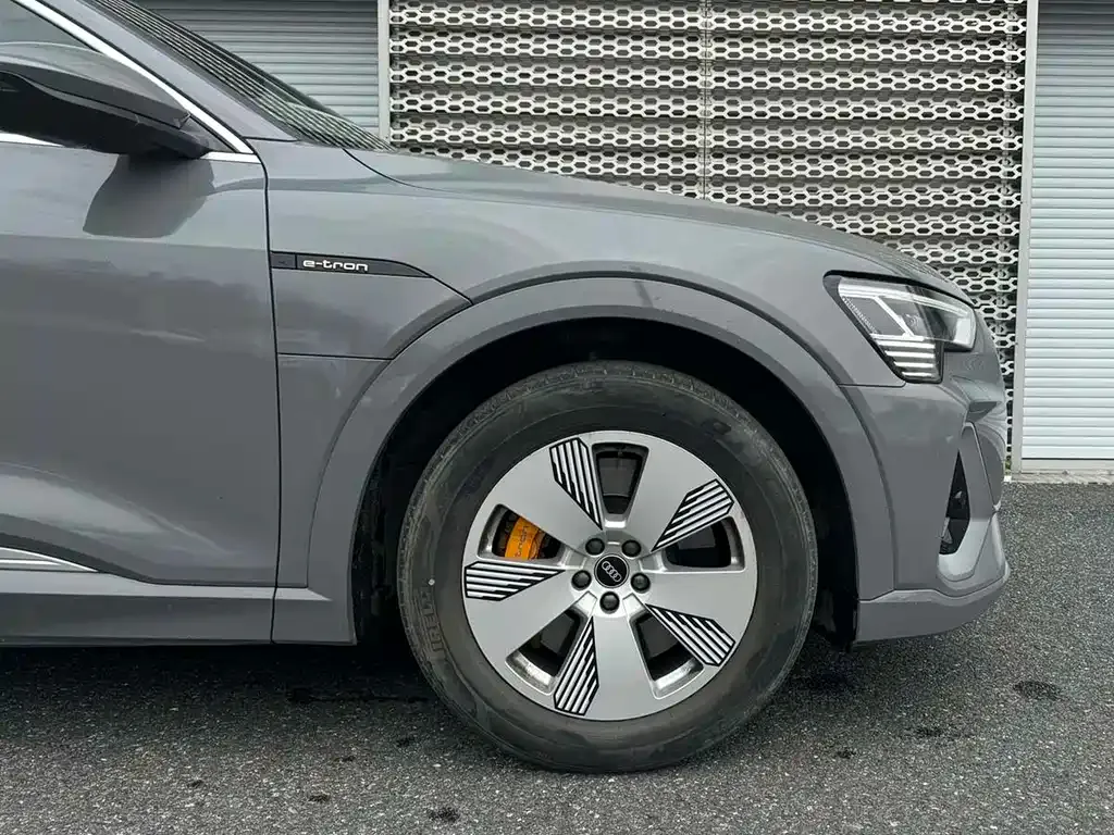 Audi e-tron 2024 из CN, фото 10
