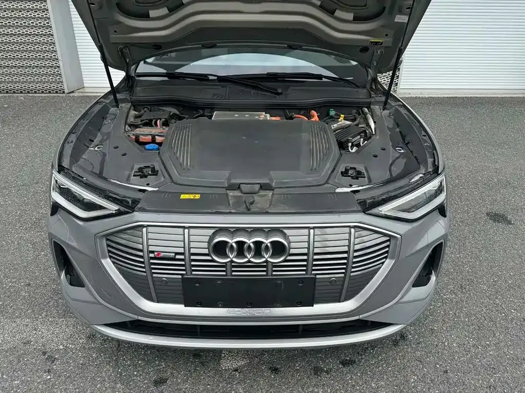 Audi e-tron 2024 из CN, фото 3