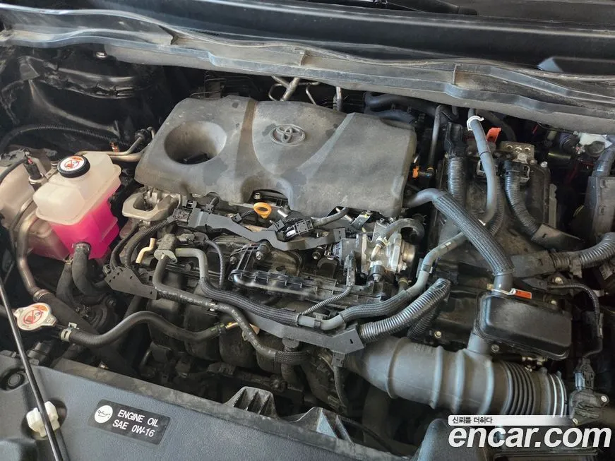 Toyota Sienna 2023 из KR, фото 3