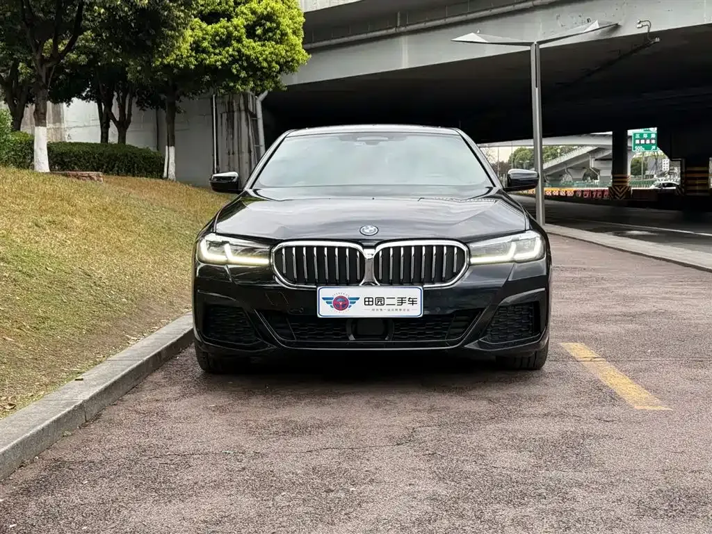 BMW 5 Series New Energy — фото 10