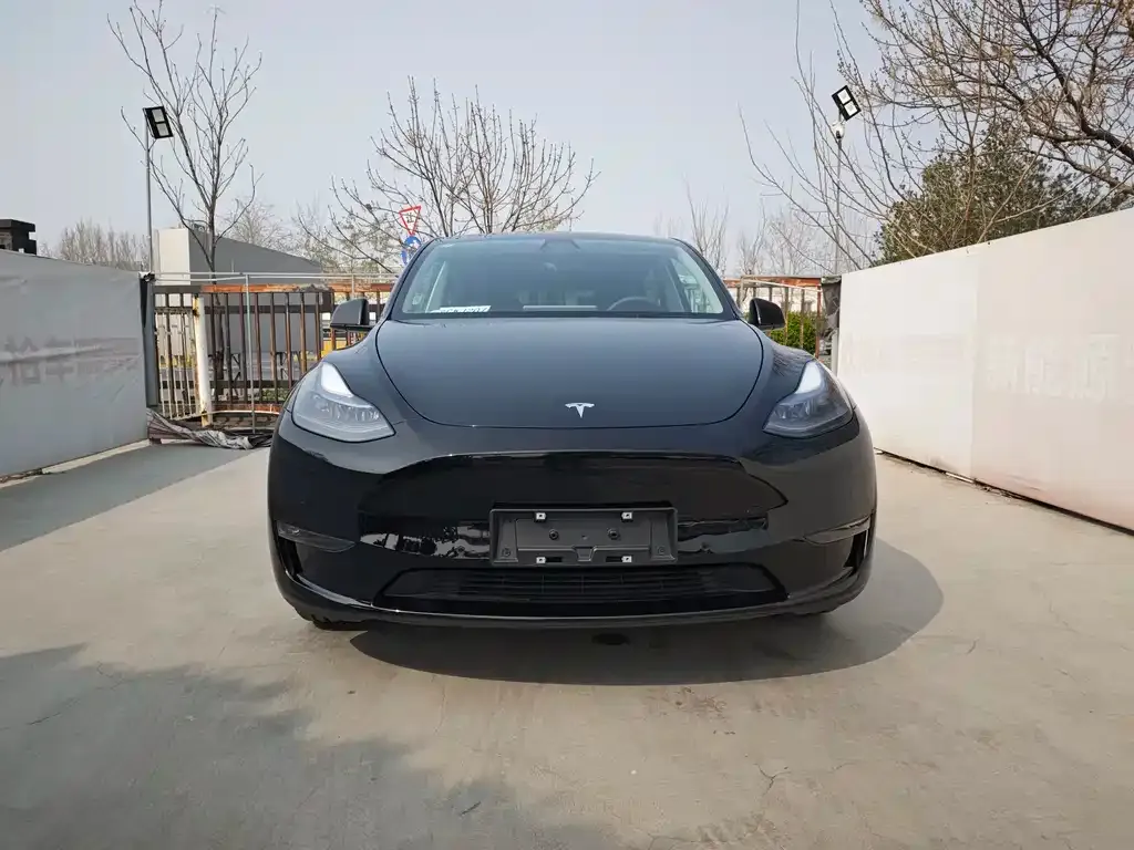 Tesla Model Y — фото 8
