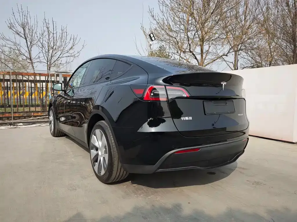 Tesla Model Y — фото 10