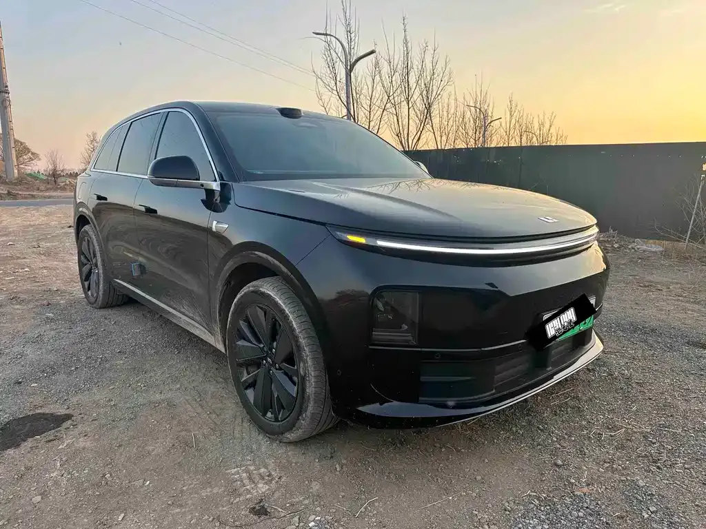 Li Auto Li L6 2025 из CN, фото 9