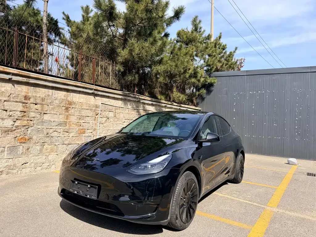Tesla Model Y — фото 1