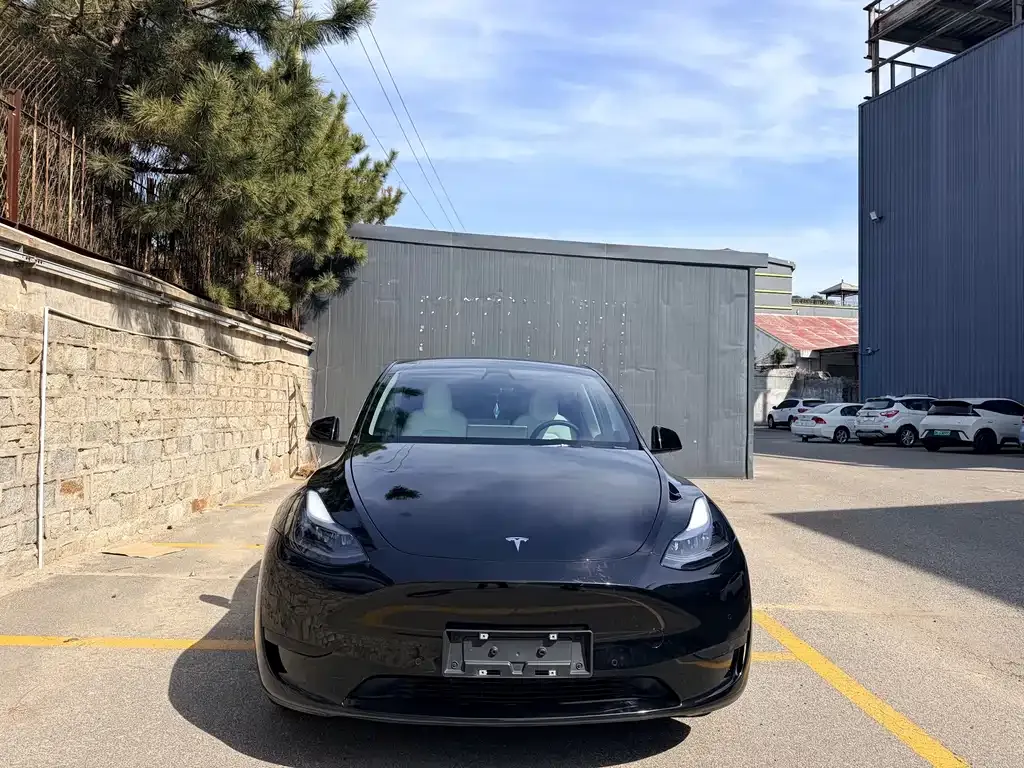 Tesla Model Y — фото 5
