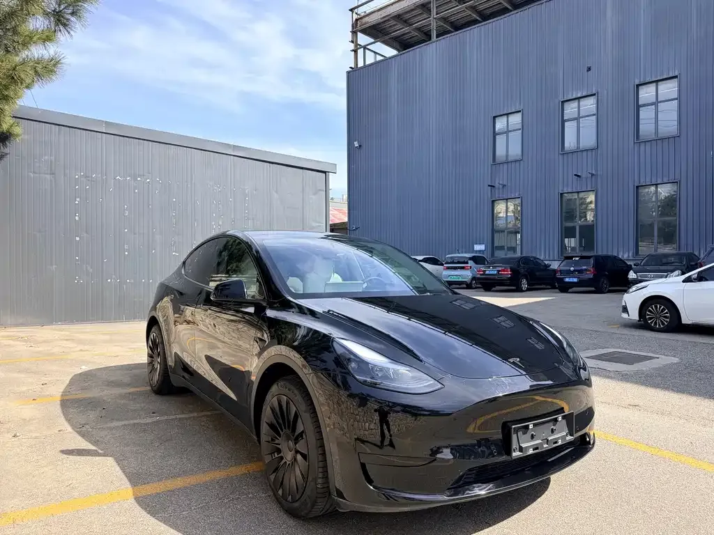 Tesla Model Y — фото 3