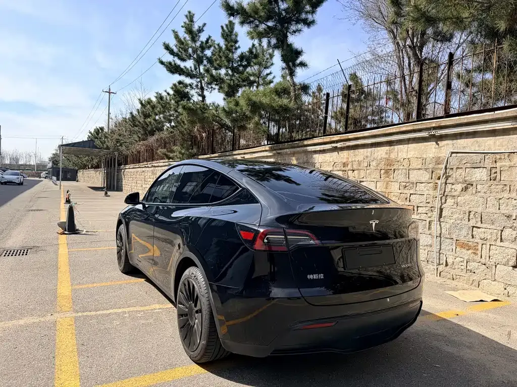 Tesla Model Y — фото 9