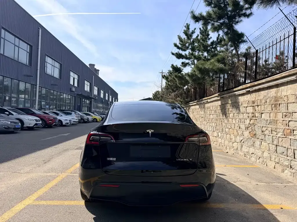 Tesla Model Y — фото 6