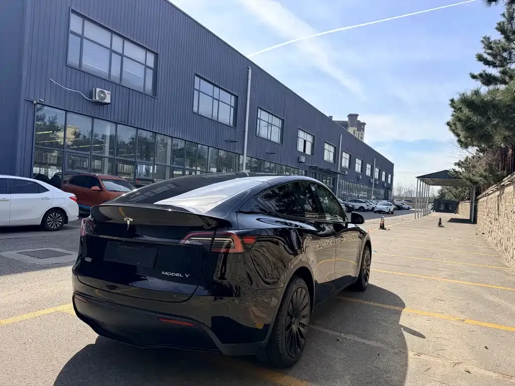 Tesla Model Y — фото 4