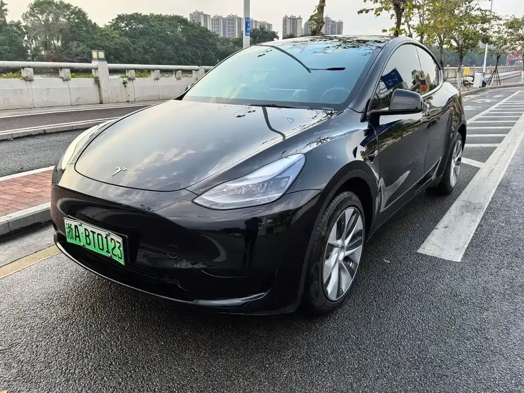 Tesla Model Y — фото 1