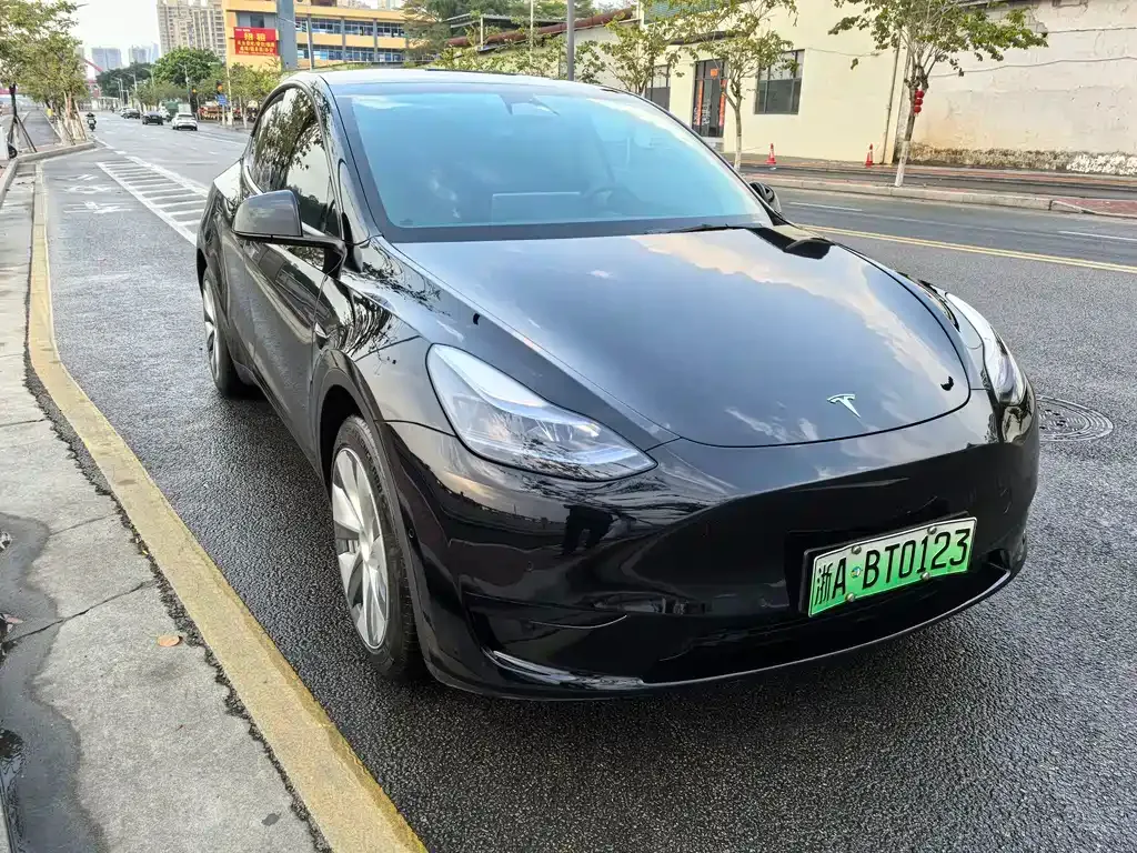 Tesla Model Y — фото 6