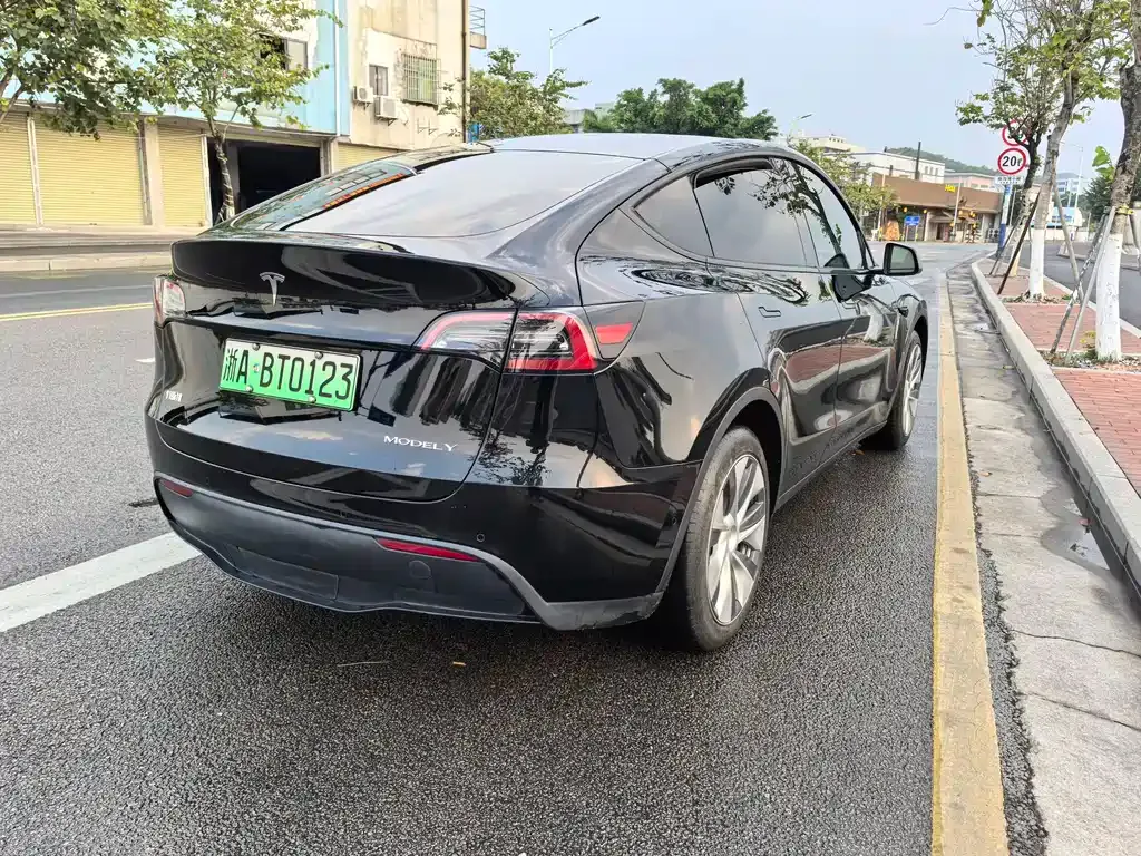 Tesla Model Y — фото 9