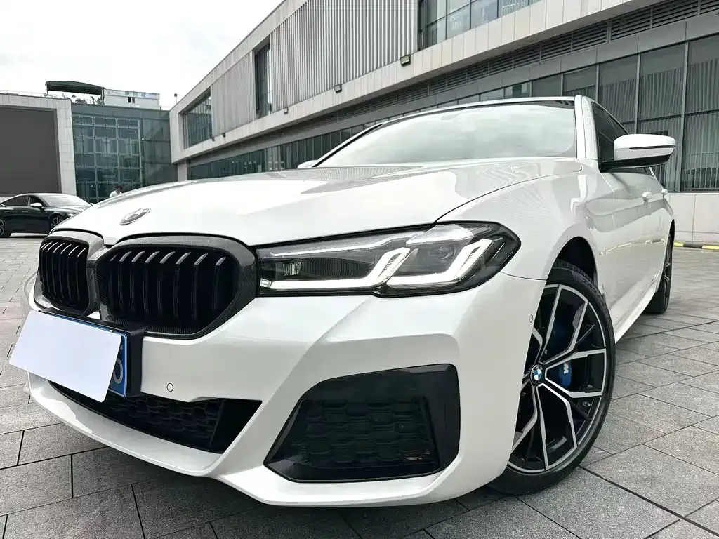 BMW 5 Series 2022 из CN, фото 5