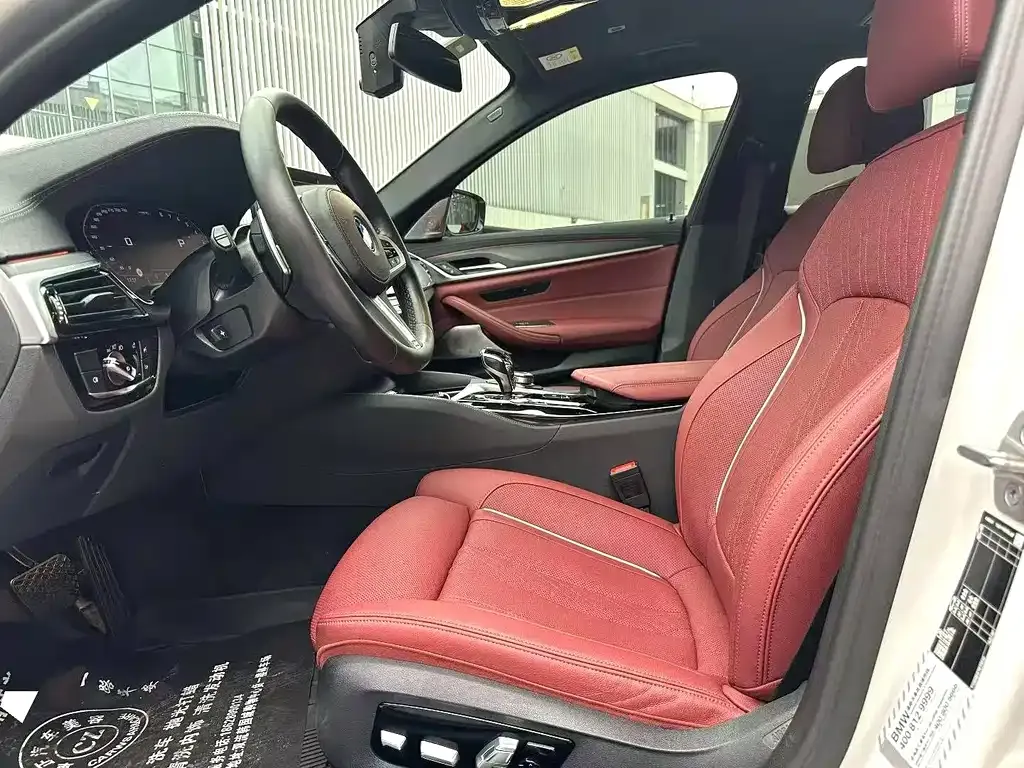 BMW 5 Series 2022 из CN, фото 8