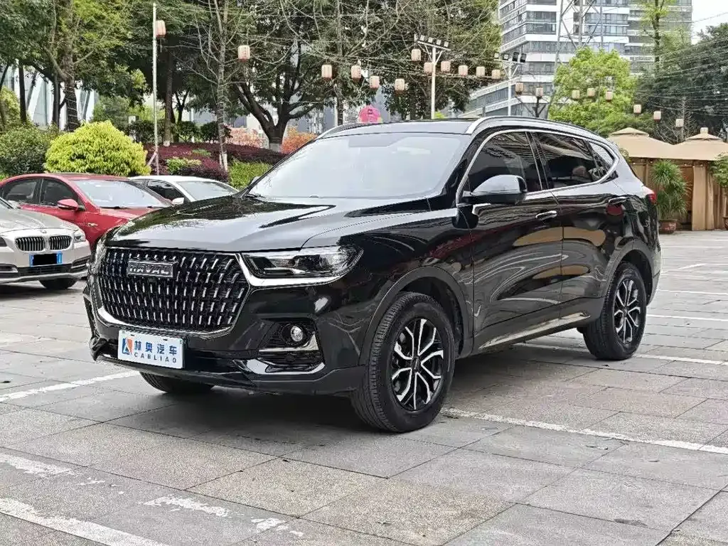 Haval H6 2023 из CN, фото 10