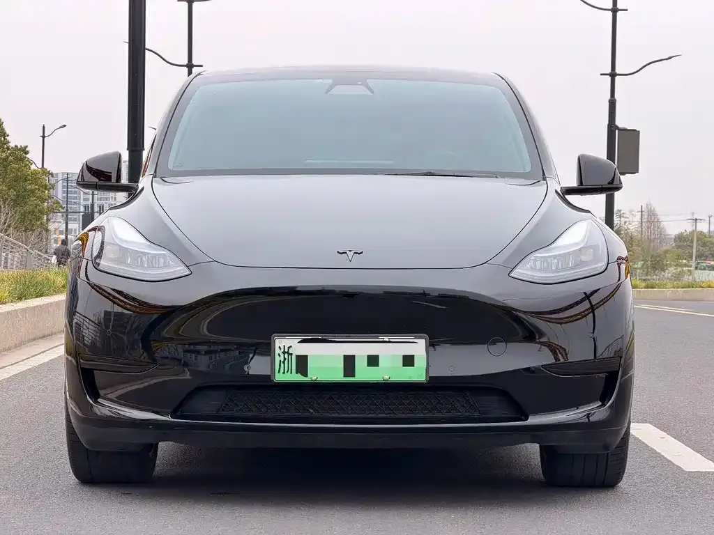 Tesla Model Y 2023 из CN, фото 2