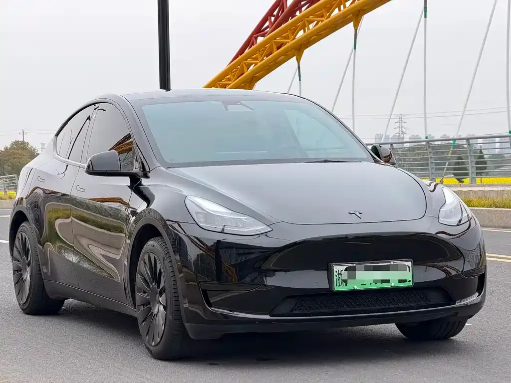 Tesla Model Y 2023 из CN, фото 6