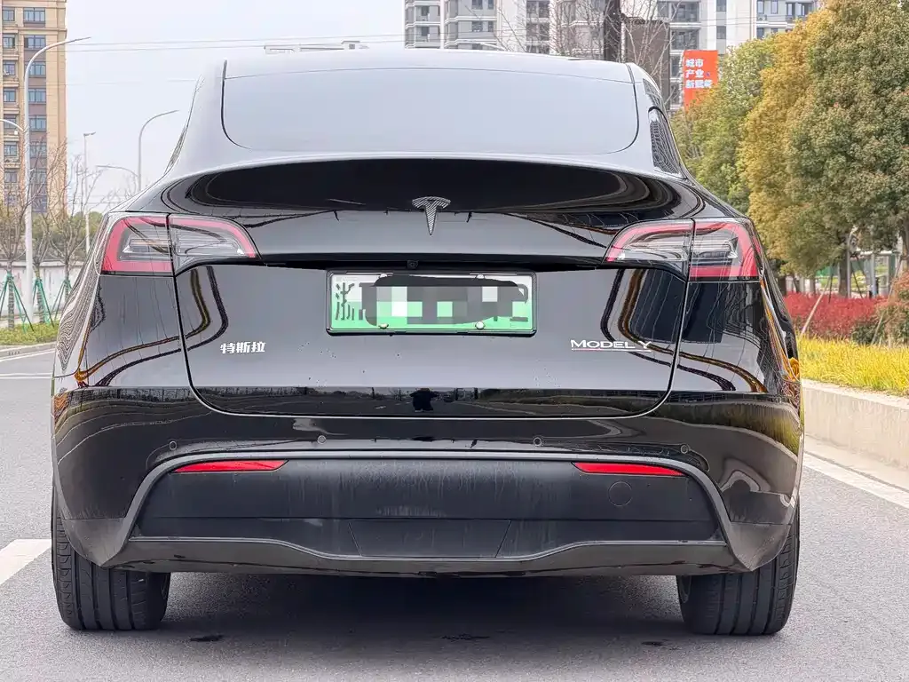 Tesla Model Y 2023 из CN, фото 8