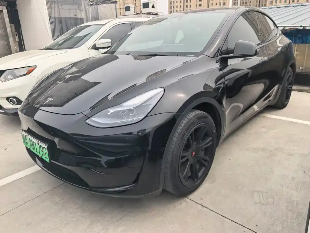 Tesla Model Y — фото 1