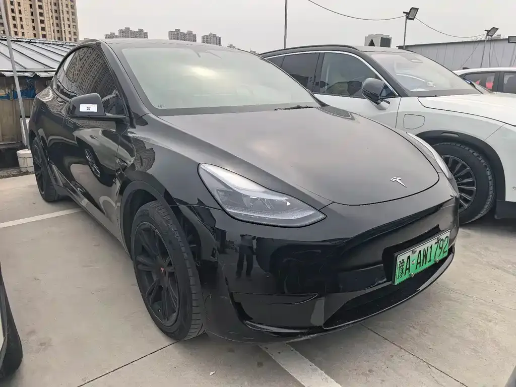 Tesla Model Y — фото 10