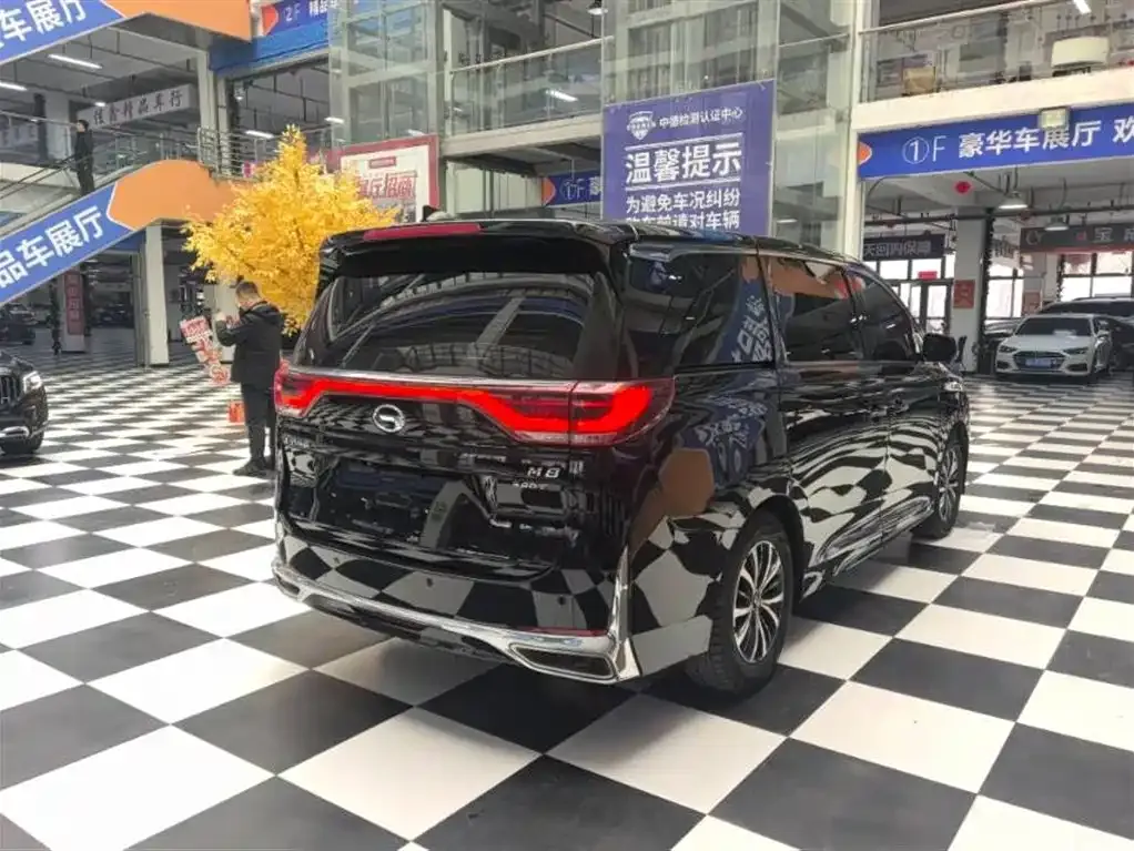 GAC Motor Trumpchi M8 2022 из CN, фото 6