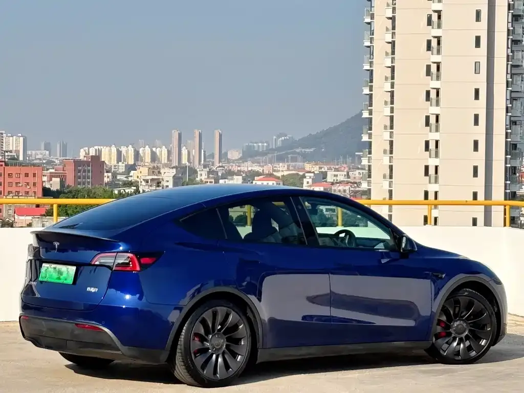 Tesla Model Y — фото 10