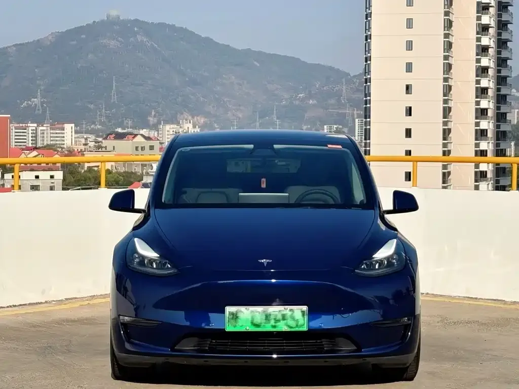 Tesla Model Y — фото 4