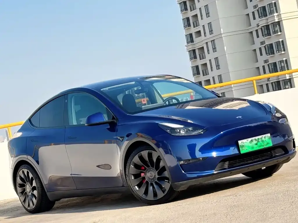 Tesla Model Y — фото 5