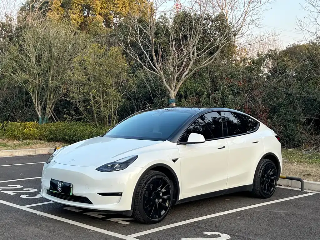 Tesla Model Y 2021 из CN, фото 1