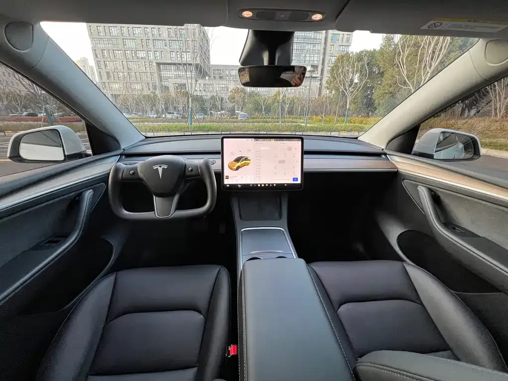 Tesla Model Y 2021 из CN, фото 5