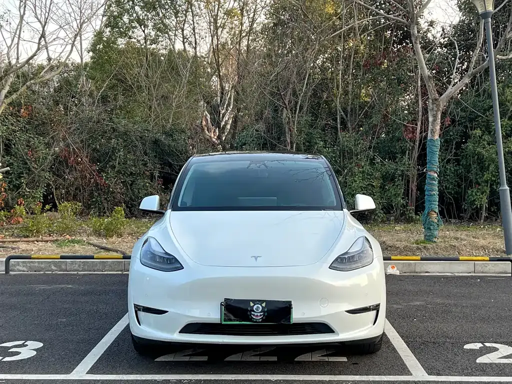 Tesla Model Y 2021 из CN, фото 7