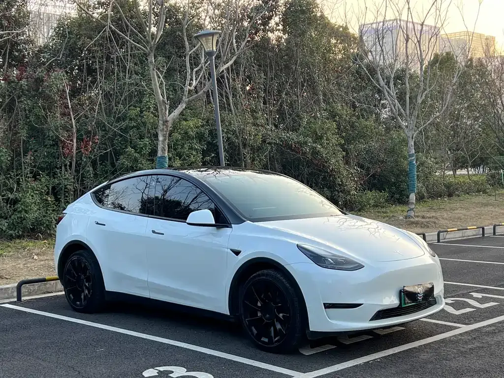Tesla Model Y 2021 из CN, фото 9