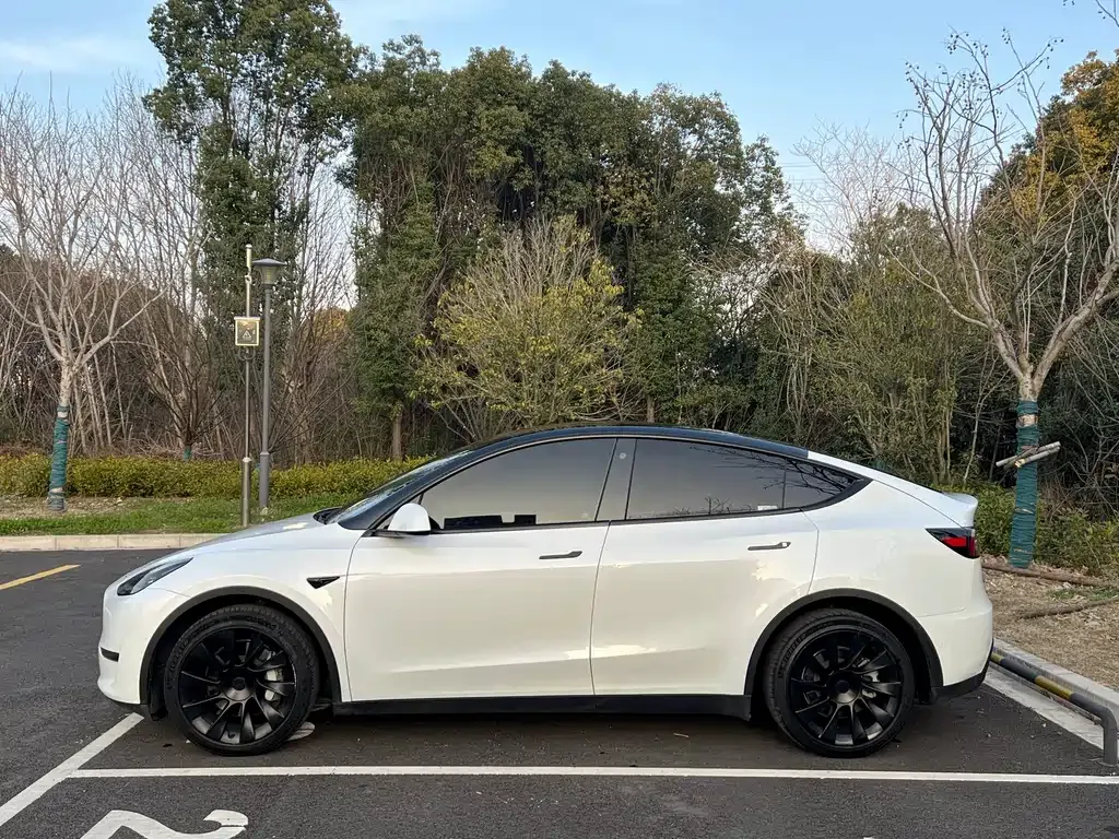Tesla Model Y 2021 из CN, фото 8