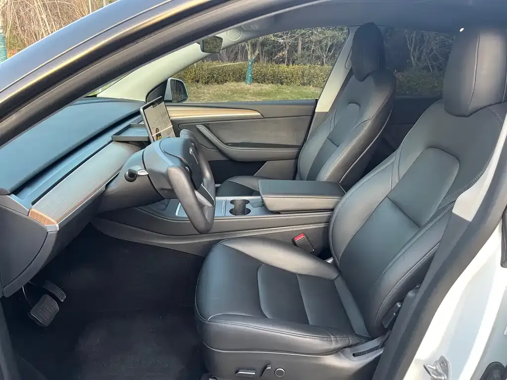 Tesla Model Y 2021 из CN, фото 2