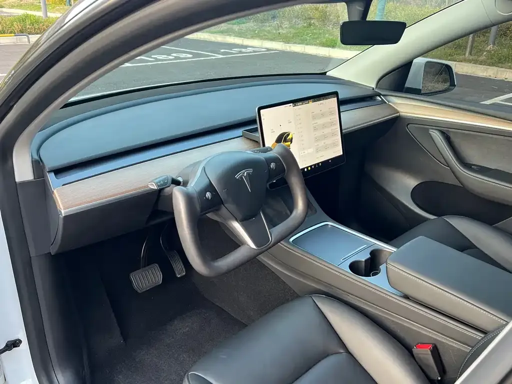 Tesla Model Y 2021 из CN, фото 3