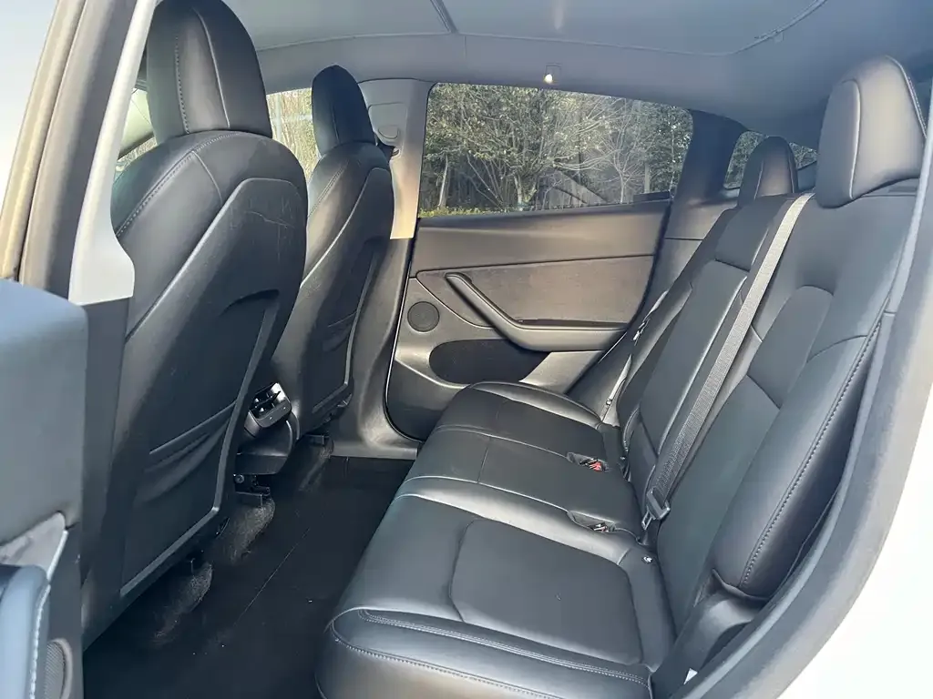Tesla Model Y 2021 из CN, фото 4