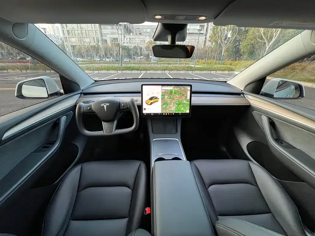 Tesla Model Y 2021 из CN, фото 10