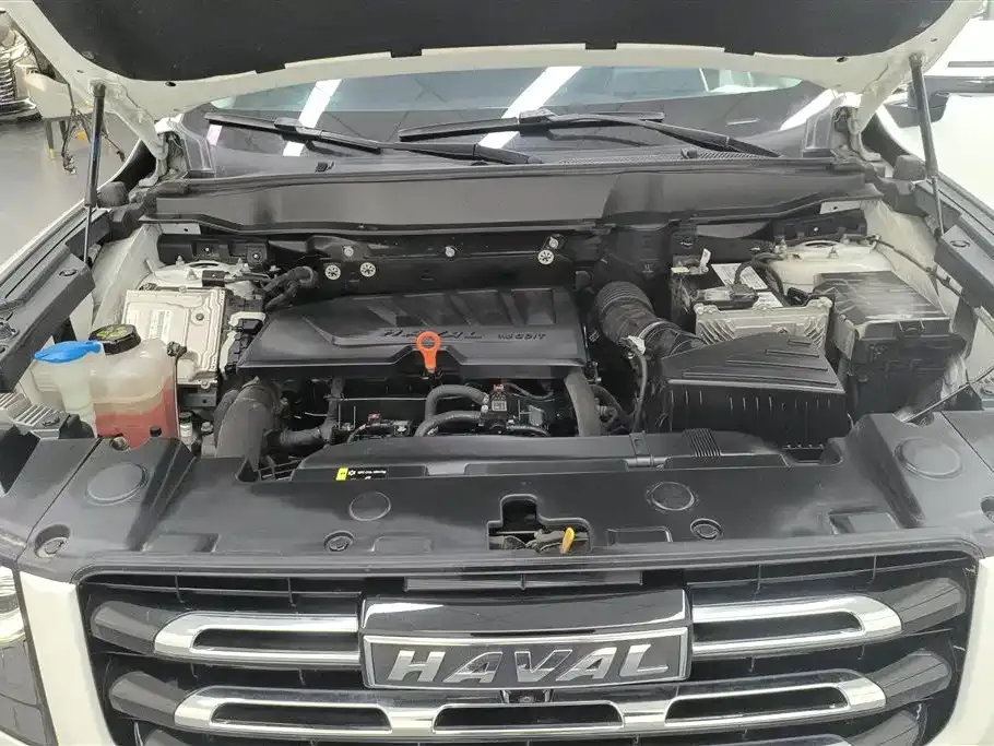 Haval Big Dog 2021 из CN, фото 8