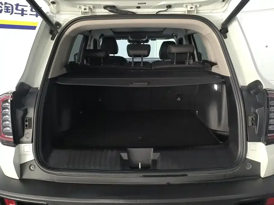 Haval Big Dog 2021 из CN, фото 7