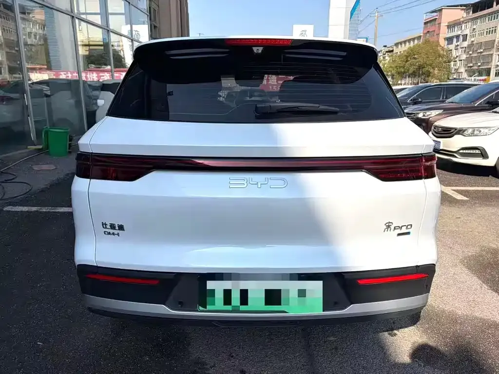BYD Pro New Energy — фото 8