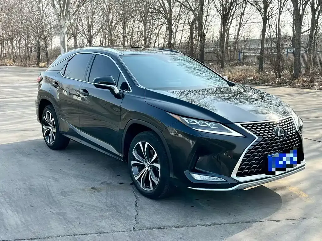 Lexus RX 2022 из CN, фото 1