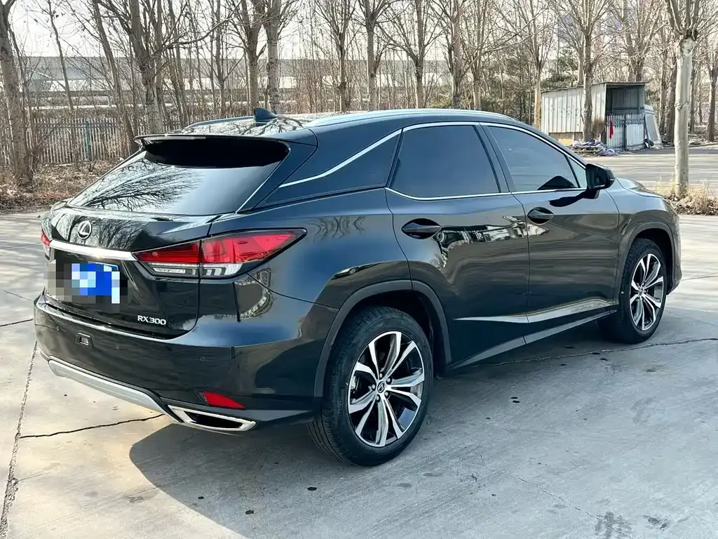 Lexus RX 2022 из CN, фото 5