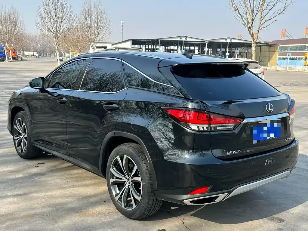 Lexus RX 2022 из CN, фото 2