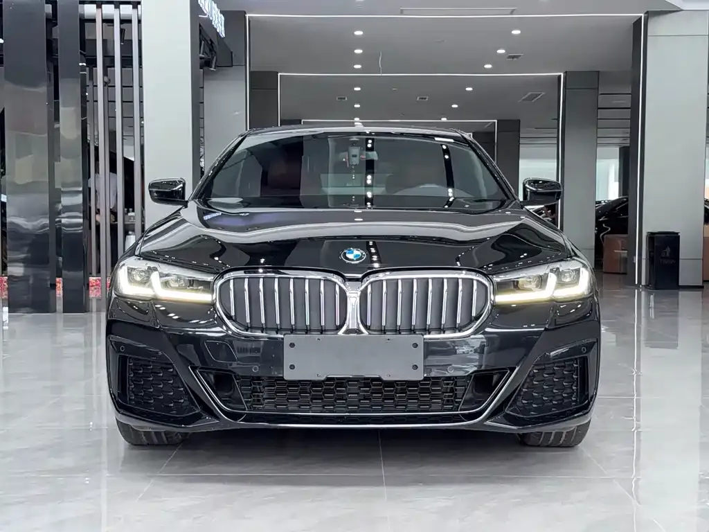 BMW 5 Series 2021 из CN, фото 7