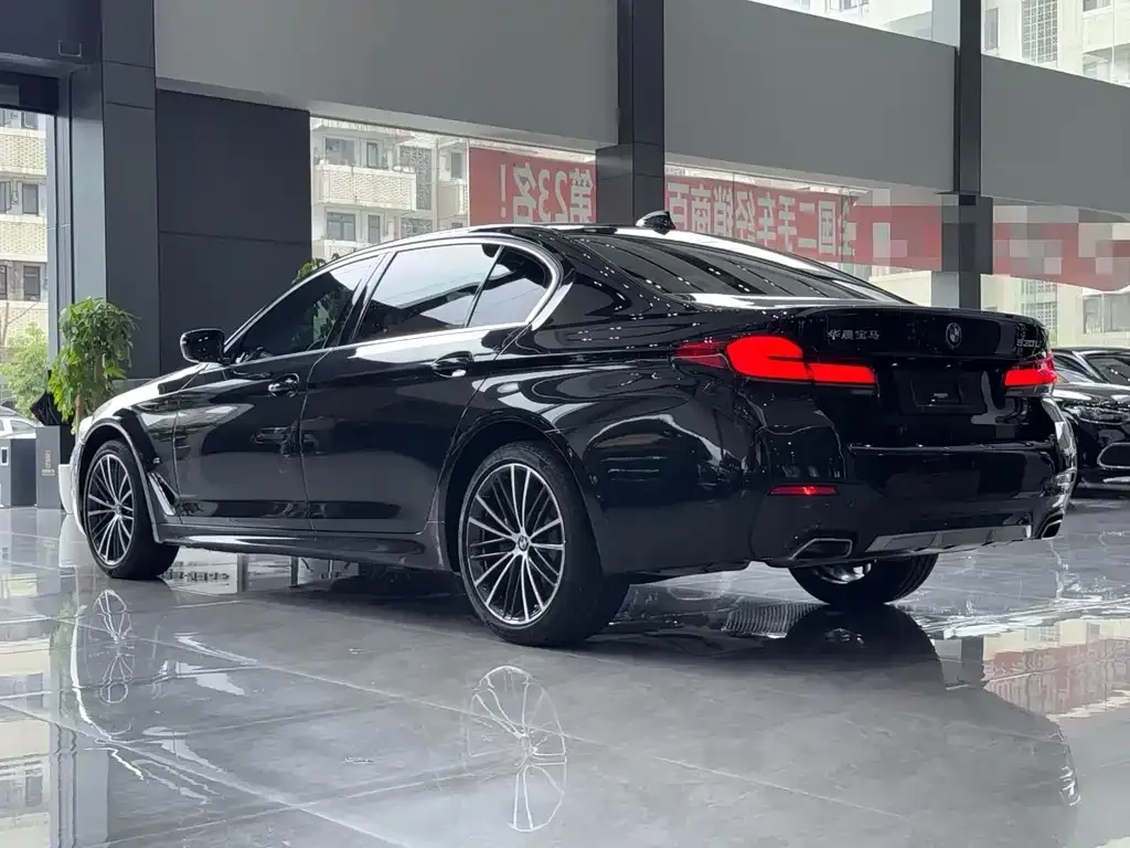 BMW 5 Series 2021 из CN, фото 4